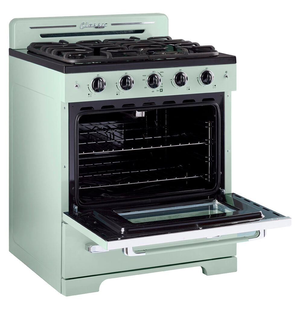 3.9 cu. ft. Convection Oven with Waist-High Broiler and Adjustable Racks
